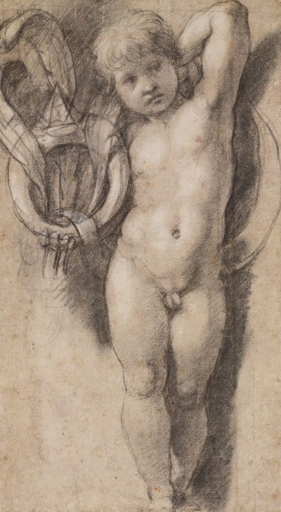 Putto with Medici Symbols by Raffaello Sanzio Raphael